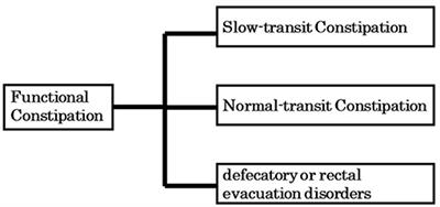 Gut Microbiota and Chronic Constipation: A Review and Update